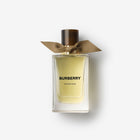 Burberry Signatures Extreme Botanicals Golden Haze Eau de Parfum original product image – JOMASHOP