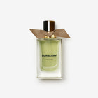 Burberry Signatures Extreme Botanicals Oud Storm Eau de Parfum original product image – JOMASHOP
